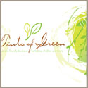 Tints of Green     note card